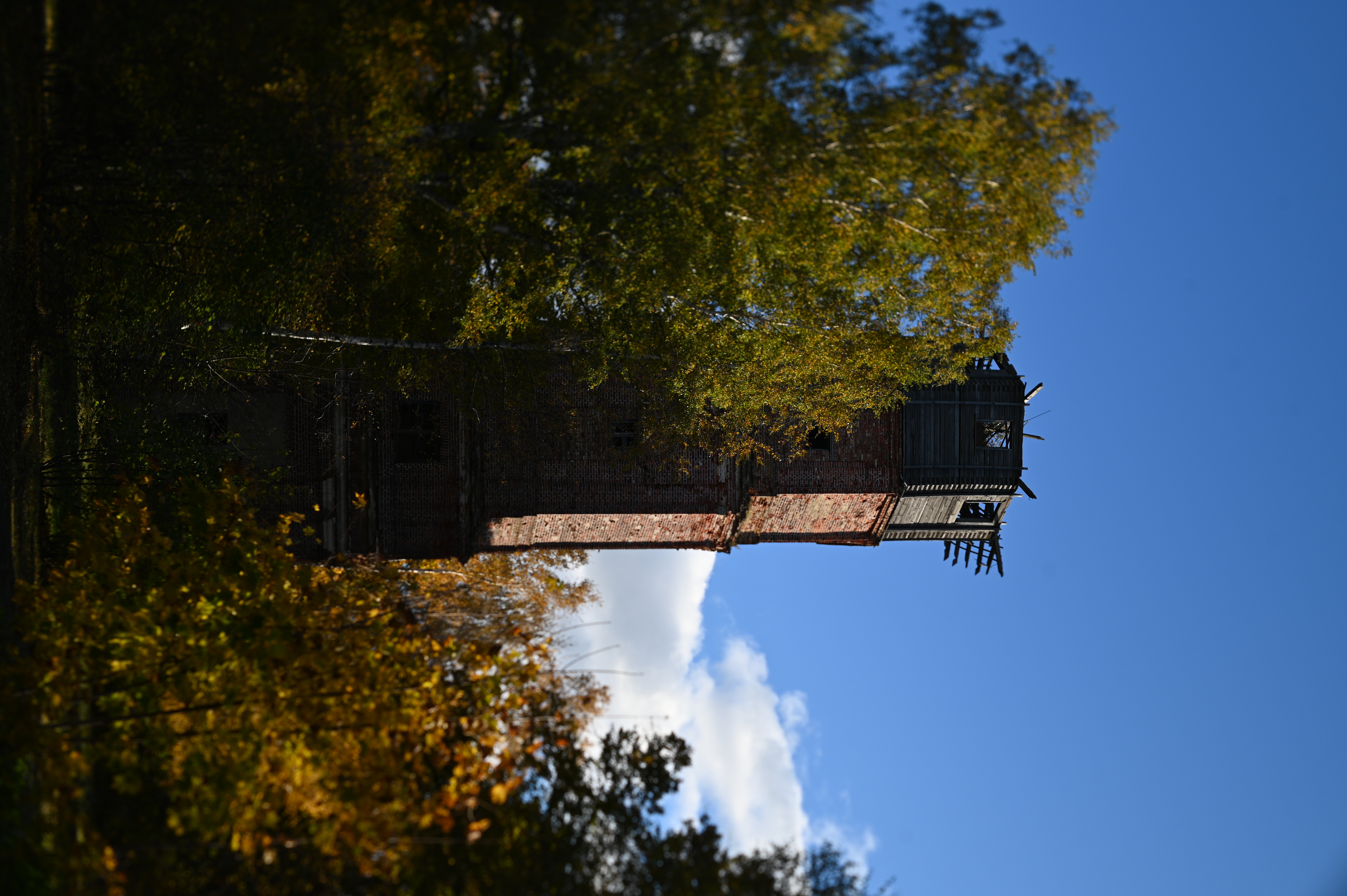 2025/10/18 - walk/DSC_0079.JPG